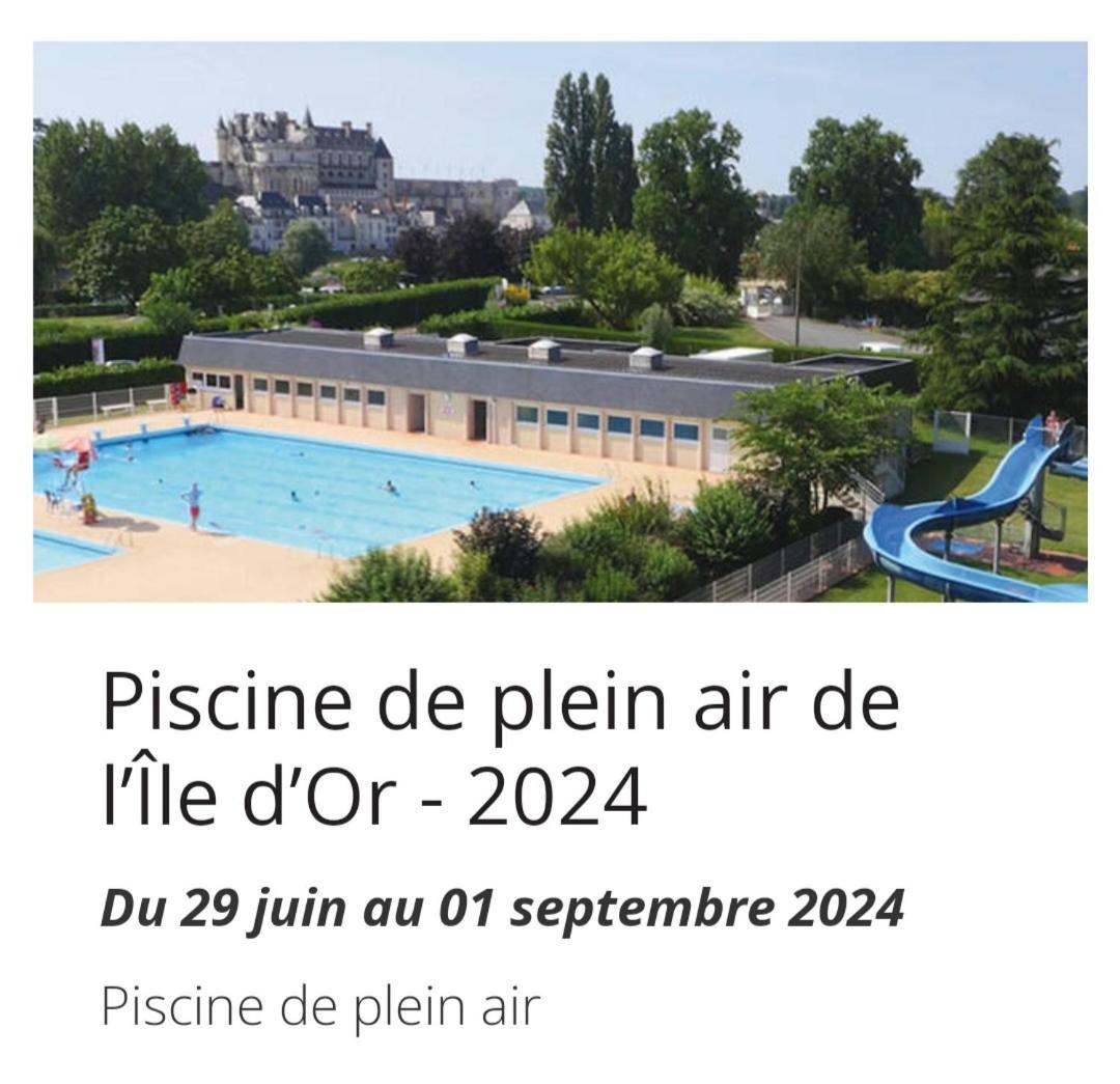 La Maison Aux Iris Pocé-sur-Cisse Exteriör bild