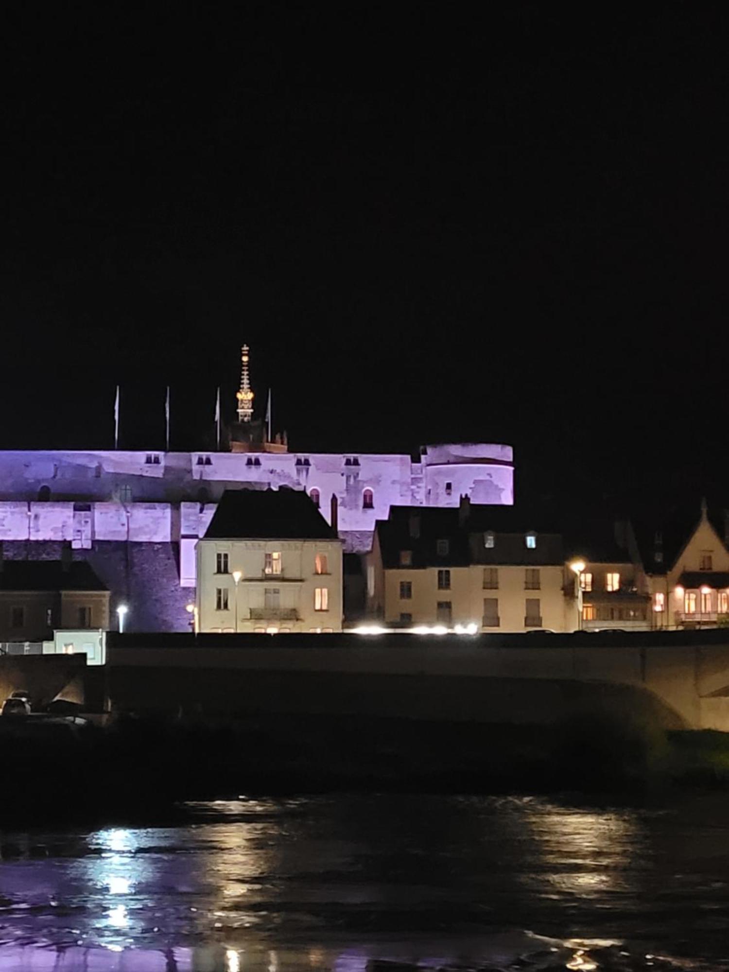 La Maison Aux Iris Pocé-sur-Cisse Exteriör bild