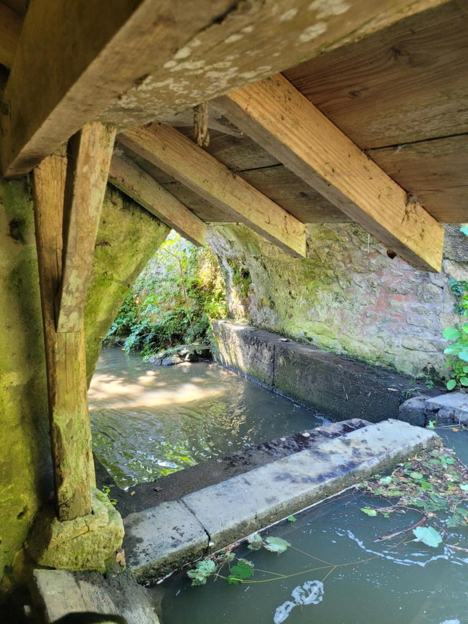 La Maison Aux Iris Pocé-sur-Cisse Exteriör bild