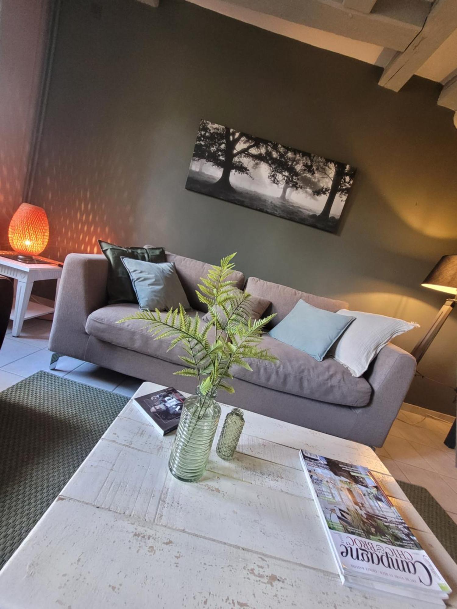 La Maison Aux Iris Pocé-sur-Cisse Exteriör bild